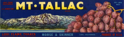 Mt. Tallac